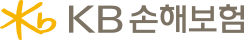 KB 손해보험